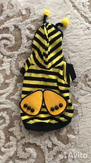 Одежда для собачки