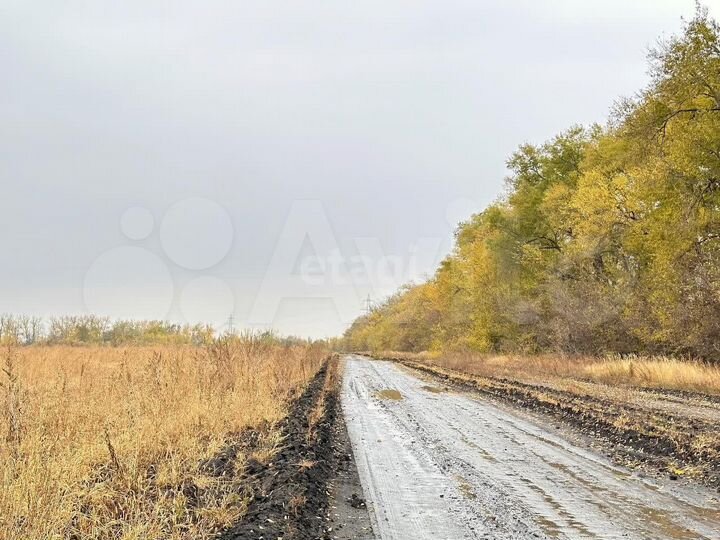 Участок 10 сот. (личное подсобное хозяйство (лпх))