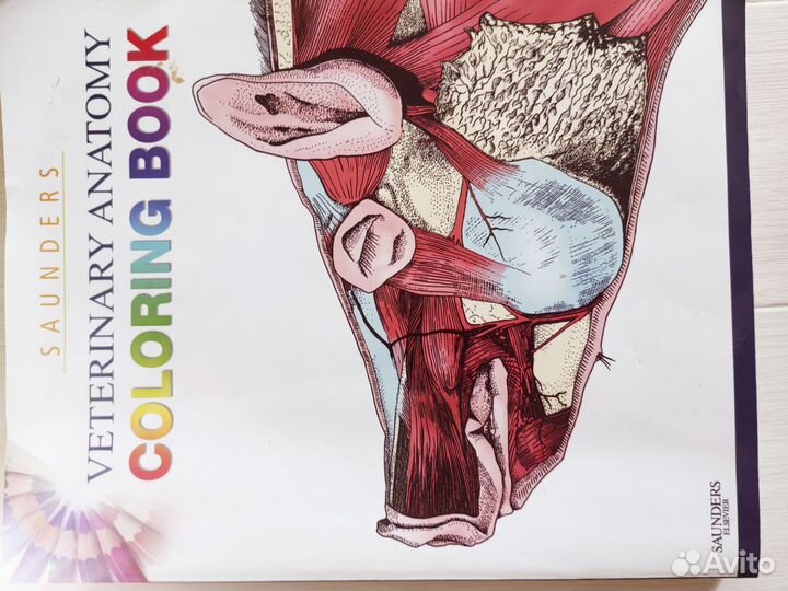 Книги на английском языке