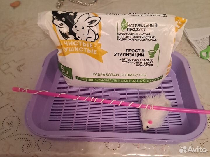 Лоток и наполнитель