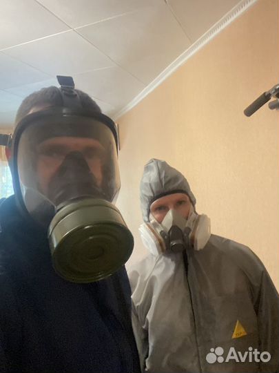 Уничтожение клещей,тараканов, грызунов, клопов