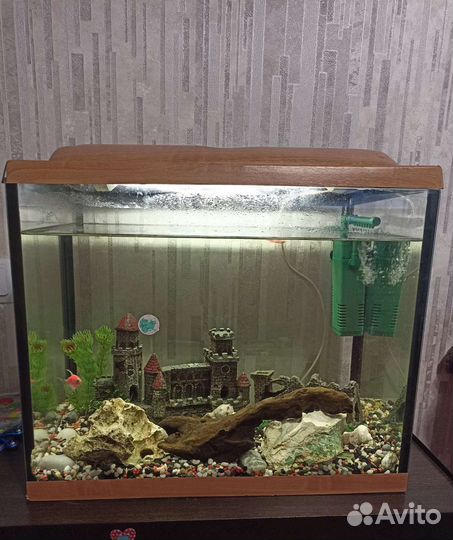 Аквариум на 50 литров