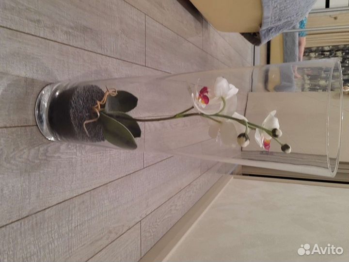 Орхидея в вазе