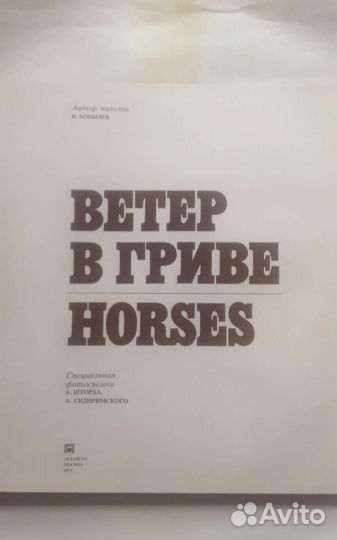 Подарочная книга о лошадях
