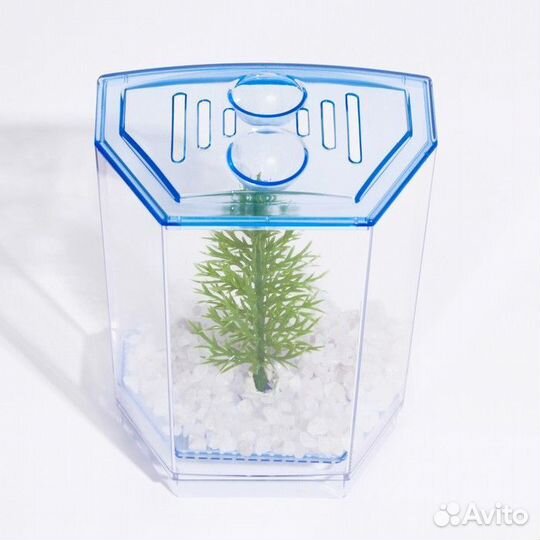 Аквариум новый настольный