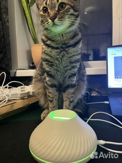 Увлажнитель воздуха с подсветкой