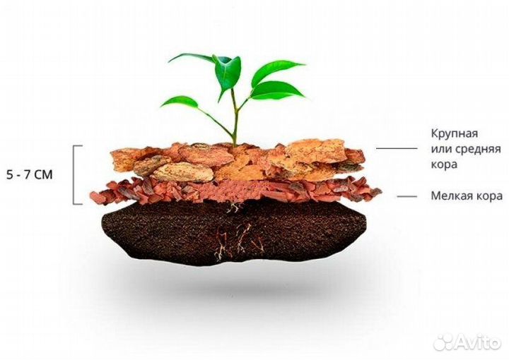 Кора лиственницы 6-10 см