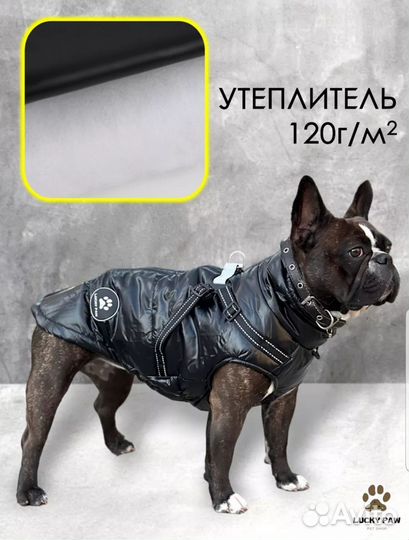 Жилет для амстафф,питбуль