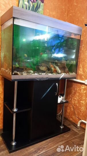 Аквариум
