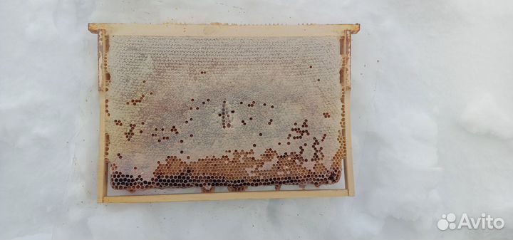 Рамки медовые, сушь