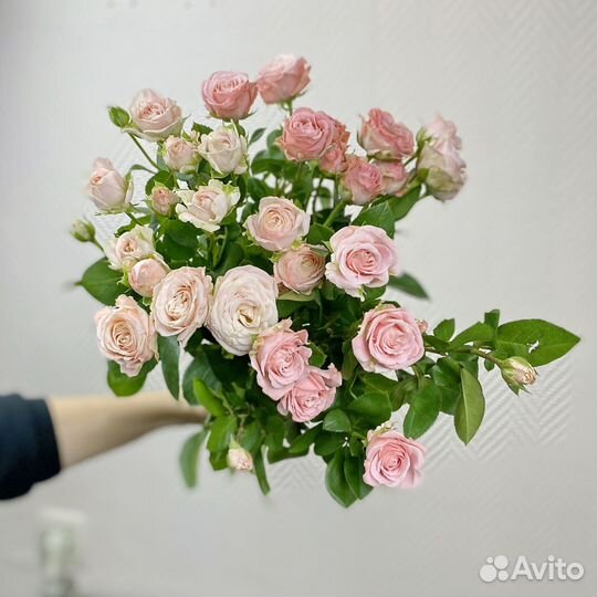 Кустовые розы Букеты