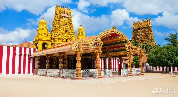 Тур на Шри-Ланку 7 дн