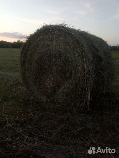 Сено
