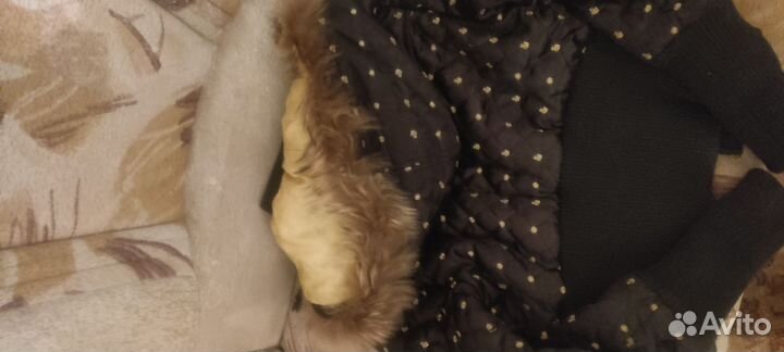 Женская куртка