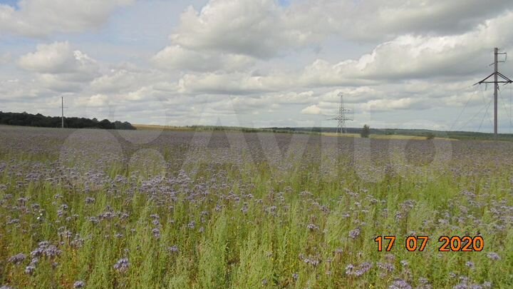 Участок 101 га (СНТ, ДНП)