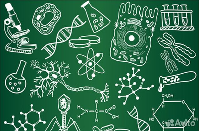 Репетитор по химии и биологии