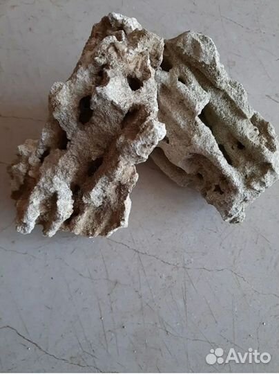 Кораллы натуральные