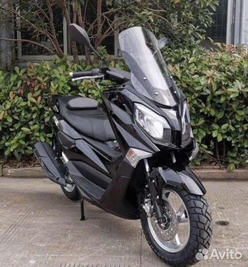 Vento MAX,2021