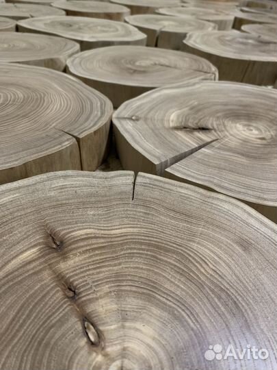 Торцевые спилы кавказского карагача