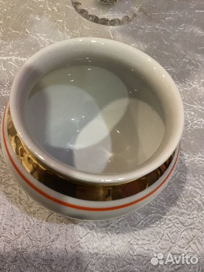 Горшочек вербилки радиоволны