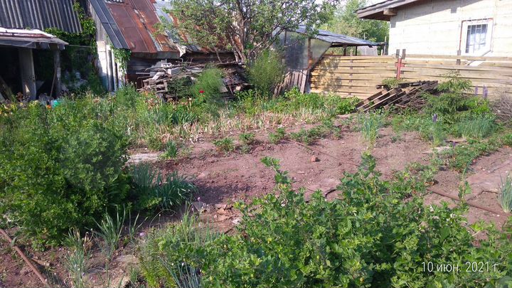 Участок 6 сот. (СНТ, ДНП)