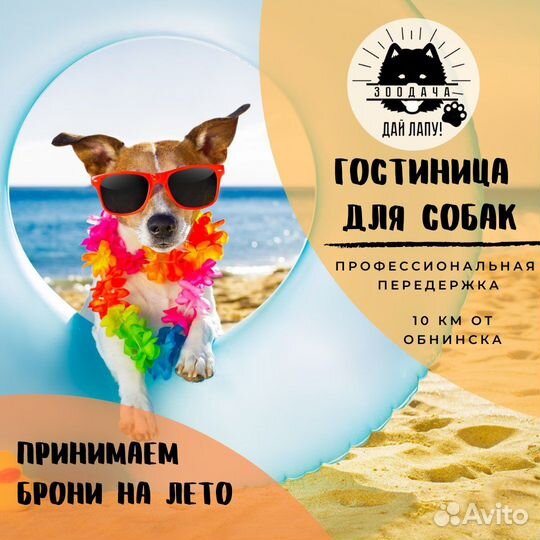 Зоогостиница для собак