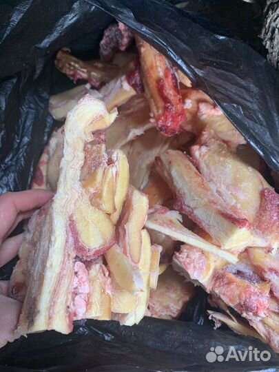 Еда для животных