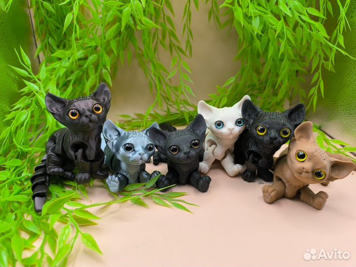 Котята сфинкса