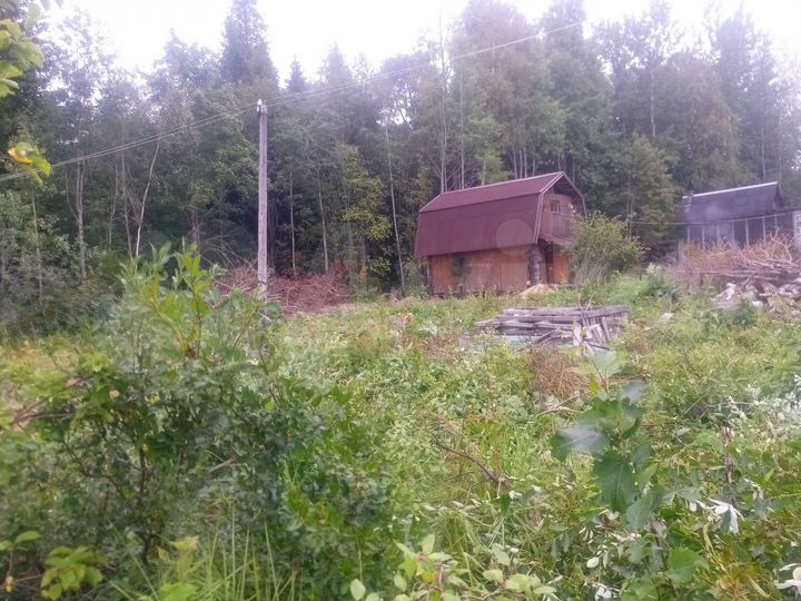 Участок 5,5 сот. (СНТ, ДНП)