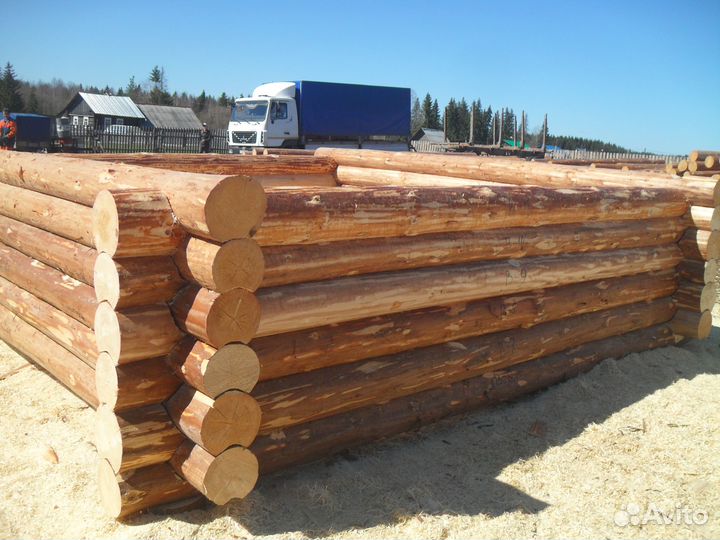 Срубы Кочево