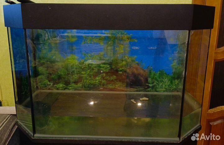 Аквариум с тумбой