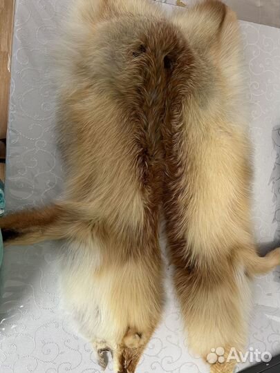 Шкурки лисы