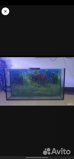 Аквариум 180л
