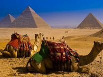 Тур поездка в Египет 11 н. all inclusive