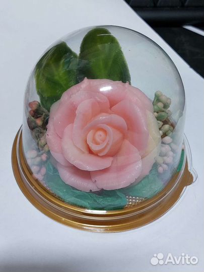 Роз в куполе из мыла