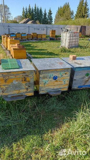 Улей дадан 12