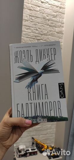 Жоэль диккер книга Балтиморов