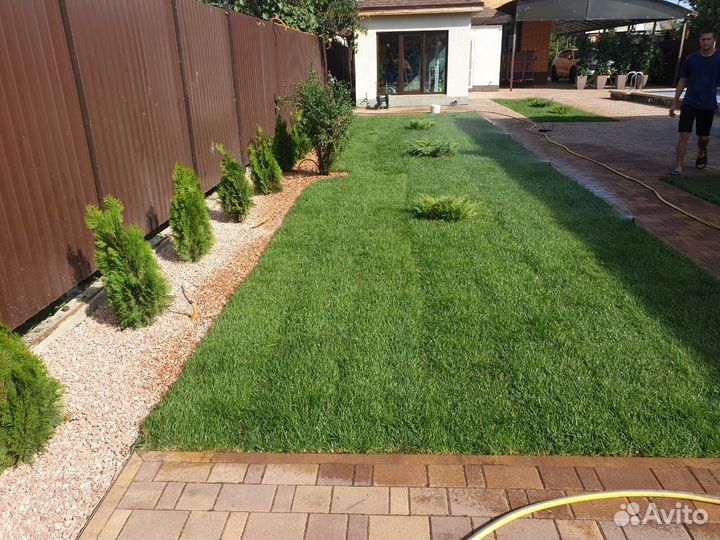 Автополив, Автоматический полив газона