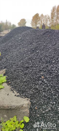 Уголь семечка Беловская