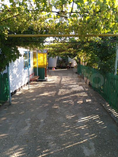 Дом 54,9 м² на участке 35 сот.