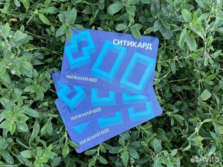 Транспортная карта