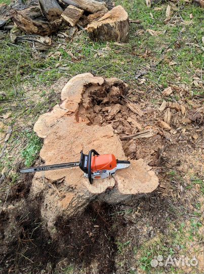 Дробление удаление корчевание пней