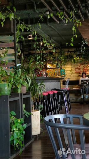 Стильное кафе у фестивальной площадки и офисов