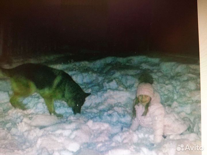 Комплект шапка, шарф