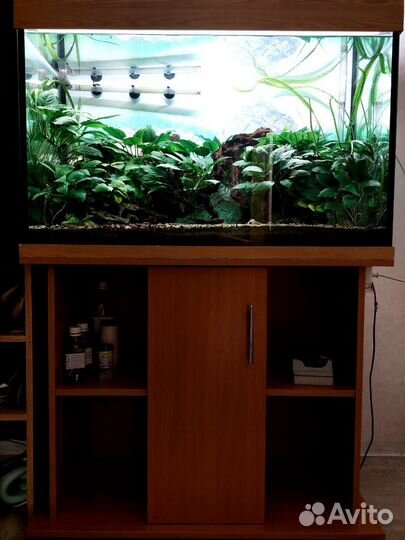 Аквариум с тумбой 180л