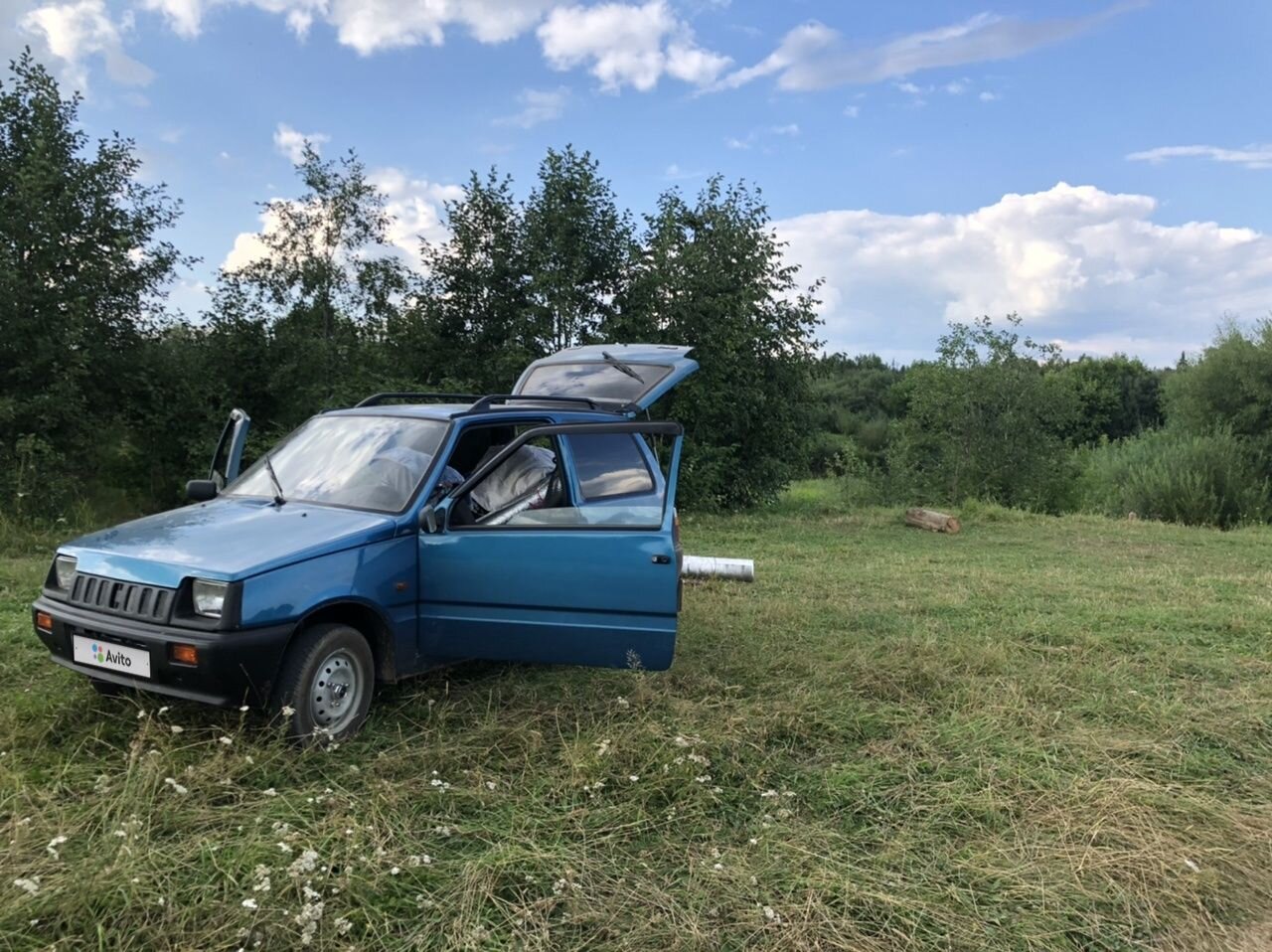 ВАЗ (LADA) 1111 Ока: фото владельца