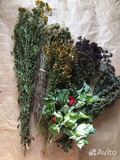 Душица и другие травы