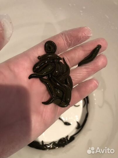 Пиявки медицинские (Выращенные)