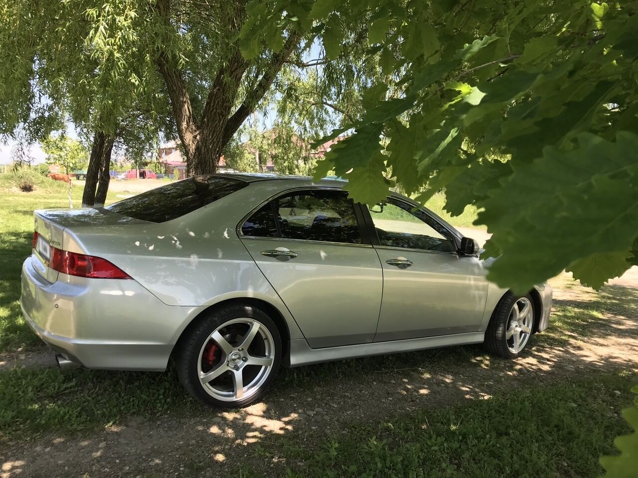 Honda Accord: фото владельца