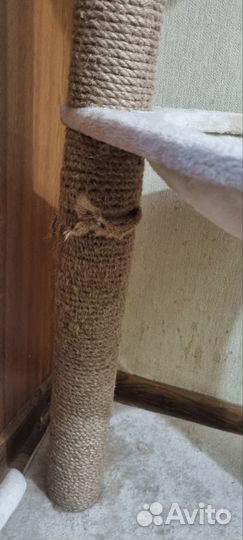Когтеточка для кошек